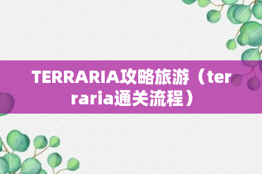 TERRARIA攻略旅游（terraria通关流程）