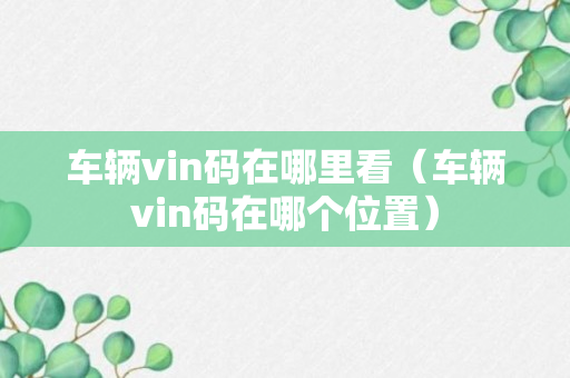 车辆vin码在哪里看（车辆vin码在哪个位置）