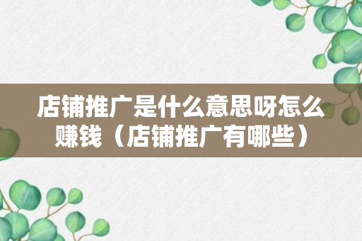 店铺推广是什么意思呀怎么赚钱（店铺推广有哪些）