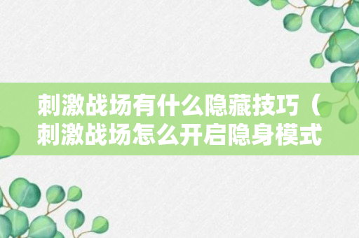 刺激战场有什么隐藏技巧（刺激战场怎么开启隐身模式）