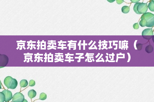 京东拍卖车有什么技巧嘛（京东拍卖车子怎么过户）