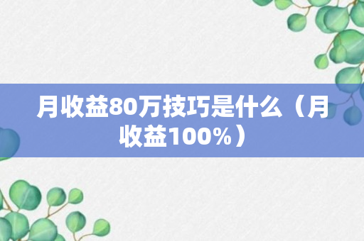 月收益80万技巧是什么（月收益100%）