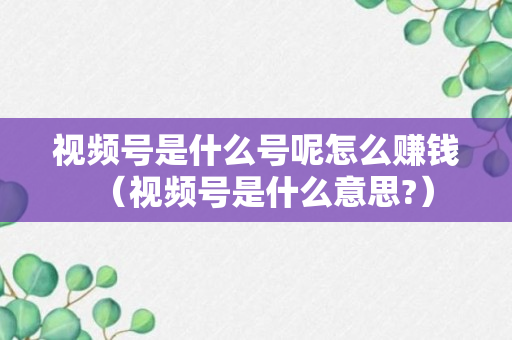 视频号是什么号呢怎么赚钱（视频号是什么意思?）