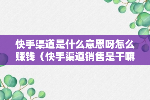 快手渠道是什么意思呀怎么赚钱（快手渠道销售是干嘛）