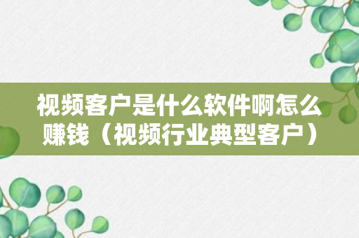 视频客户是什么软件啊怎么赚钱（视频行业典型客户）