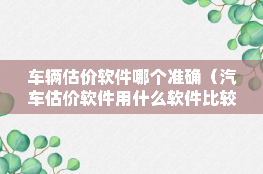 车辆估价软件哪个准确（汽车估价软件用什么软件比较好）