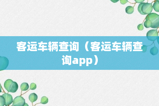 客运车辆查询（客运车辆查询app）