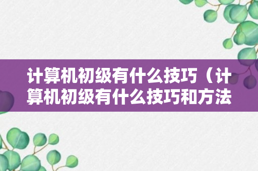 计算机初级有什么技巧（计算机初级有什么技巧和方法）