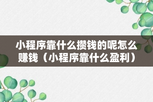 小程序靠什么攒钱的呢怎么赚钱（小程序靠什么盈利）