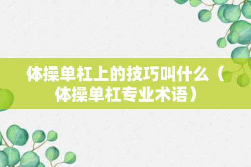 体操单杠上的技巧叫什么（体操单杠专业术语）