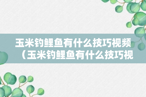 玉米钓鲤鱼有什么技巧视频（玉米钓鲤鱼有什么技巧视频教程）