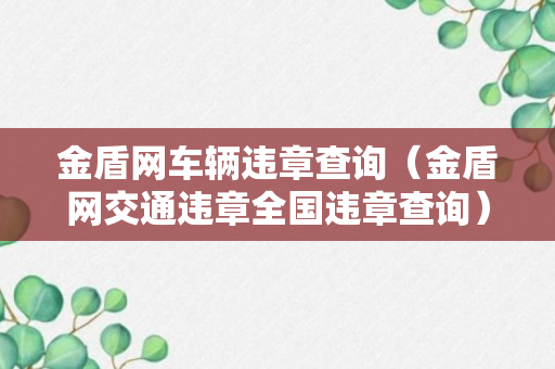 金盾网车辆违章查询（金盾网交通违章全国违章查询）