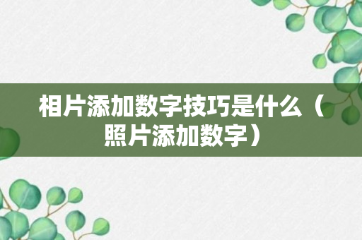 相片添加数字技巧是什么（照片添加数字）