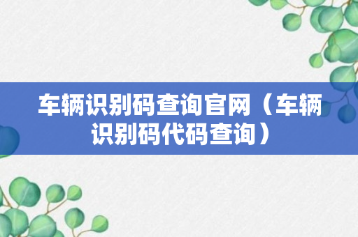 车辆识别码查询官网（车辆识别码代码查询）