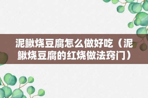 泥鳅烧豆腐怎么做好吃（泥鳅烧豆腐的红烧做法窍门）