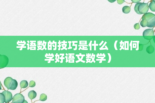 学语数的技巧是什么（如何学好语文数学）