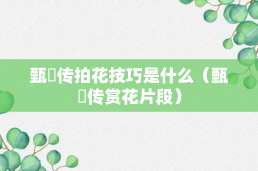 甄嬛传拍花技巧是什么（甄嬛传赏花片段）