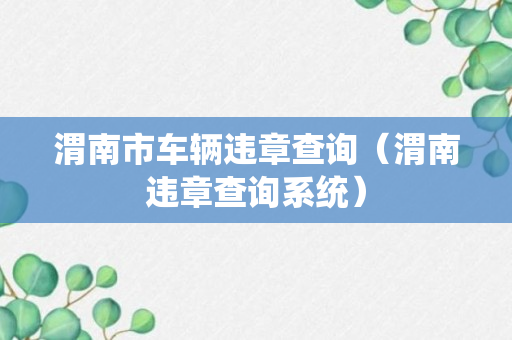 渭南市车辆违章查询（渭南违章查询系统）