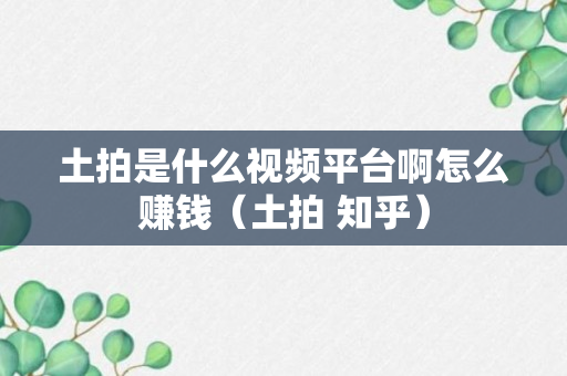 土拍是什么视频平台啊怎么赚钱（土拍 知乎）