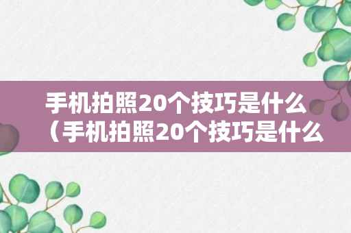 手机拍照20个技巧是什么（手机拍照20个技巧是什么样的）