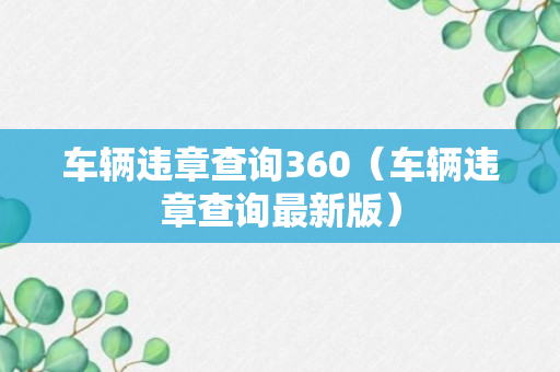 车辆违章查询360（车辆违章查询最新版）