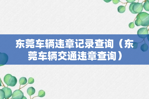 东莞车辆违章记录查询（东莞车辆交通违章查询）