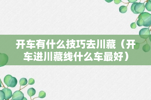 开车有什么技巧去川藏（开车进川藏线什么车最好）