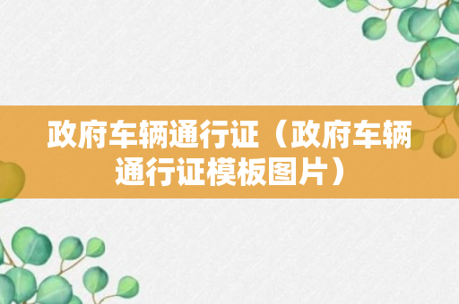 政府车辆通行证（政府车辆通行证模板图片）