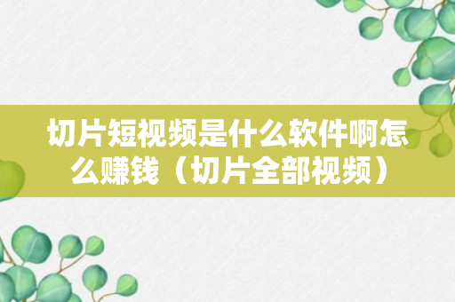 切片短视频是什么软件啊怎么赚钱（切片全部视频）