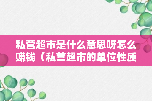 私营超市是什么意思呀怎么赚钱（私营超市的单位性质）