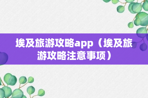 埃及旅游攻略app（埃及旅游攻略注意事项）