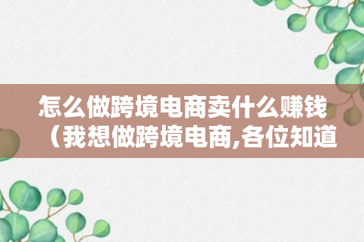 怎么做跨境电商卖什么赚钱（我想做跨境电商,各位知道如何做的吗）