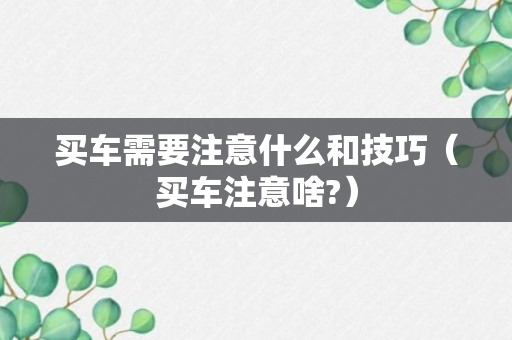 买车需要注意什么和技巧（买车注意啥?）