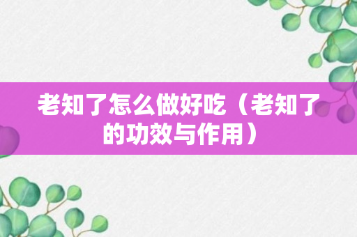 老知了怎么做好吃（老知了的功效与作用）