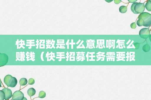 快手招数是什么意思啊怎么赚钱（快手招募任务需要报价吗）