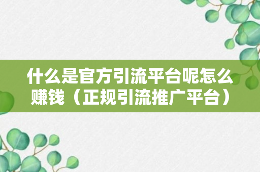 什么是官方引流平台呢怎么赚钱（正规引流推广平台）