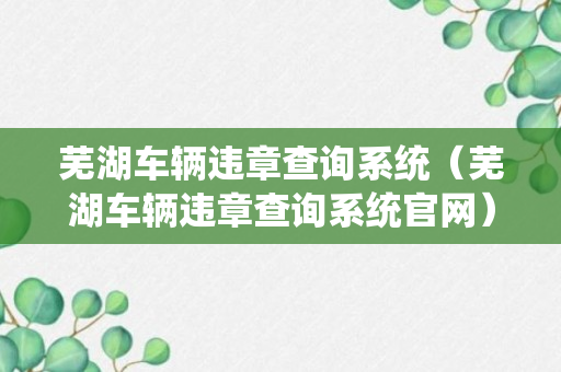 芜湖车辆违章查询系统（芜湖车辆违章查询系统官网）