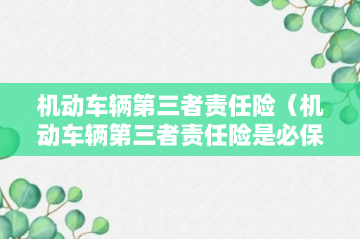 机动车辆第三者责任险（机动车辆第三者责任险是必保风险）