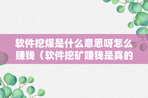 软件挖煤是什么意思呀怎么赚钱（软件挖矿赚钱是真的吗）