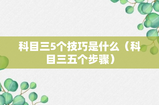 科目三5个技巧是什么（科目三五个步骤）