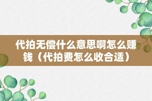 代拍无偿什么意思啊怎么赚钱（代拍费怎么收合适）