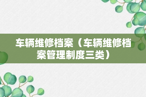 车辆维修档案（车辆维修档案管理制度三类）