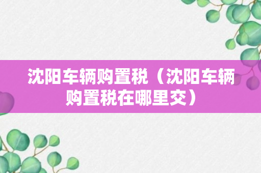 沈阳车辆购置税（沈阳车辆购置税在哪里交）