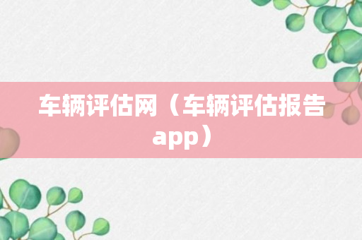 车辆评估网（车辆评估报告app）