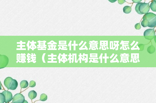 主体基金是什么意思呀怎么赚钱（主体机构是什么意思）