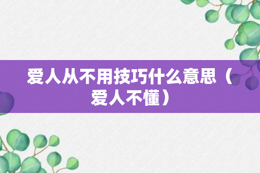 爱人从不用技巧什么意思（爱人不懂）