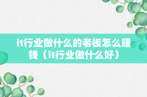 it行业做什么的老板怎么赚钱（it行业做什么好）