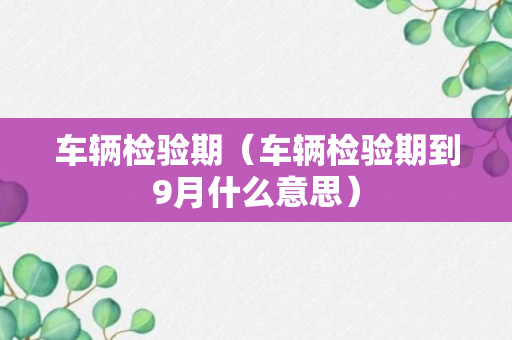 车辆检验期（车辆检验期到9月什么意思）