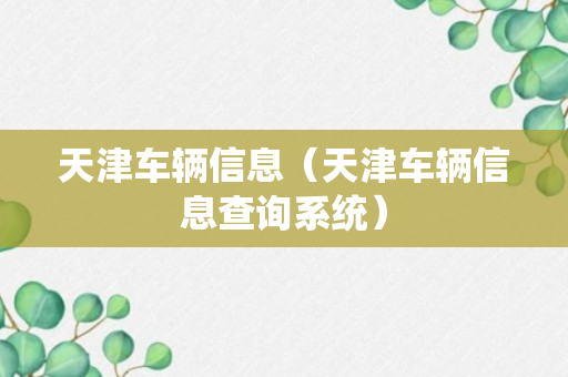 天津车辆信息（天津车辆信息查询系统）