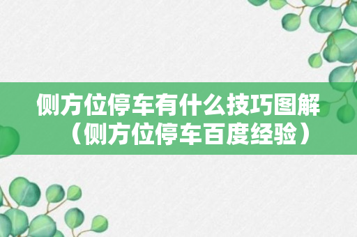 侧方位停车有什么技巧图解（侧方位停车百度经验）